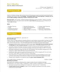 Advertising Resume Template Templates Creative Mmventures Co