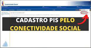 do pis pelo conectividade social