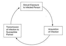 Prevention Of Stds The Hidden Epidemic Confronting