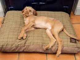 Large Dog Beds Ireland