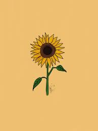 Sunflower Drawing Wallpapers - Top Free ...
