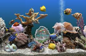 marine aquarium deluxe 3 0