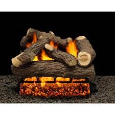 vented natural gas fireplace logs
