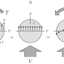 distribution of shear stress on the