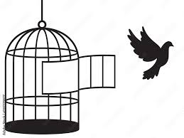 bird cage free bird stock vector