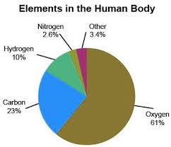 diffe elements in the human body