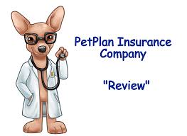 We did not find results for: Petplan Insurance Company Review
