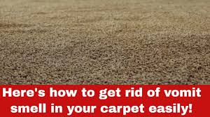 vomit smell in your carpet