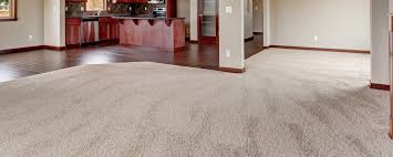 carpet cleaning services north myrtle