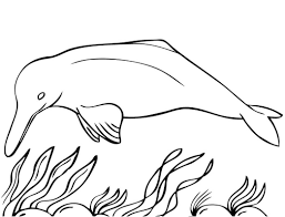 Tô màu Con Cá Heo và Rong Biển - Trang Tô Màu Cho Bé