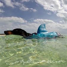 Swimways Sea Squirts Dog Life Vest W Fin For Doggie