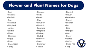 flower and plant names for dogs