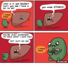 Most kidney stones pass out of the body without causing any damage. 25 Best Memes About Kidney Stones Humor Kidney Stones Humor Memes