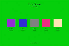 what color is lime green meaning