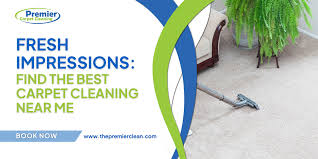 premier carpet cleaning