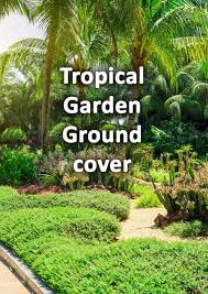 10 Ground Cover Plants For Tropical