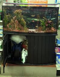 how much does that aquarium cost