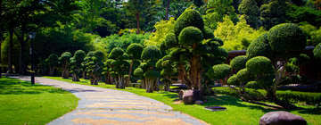 Perdana botanical garden, formerly known as taman tasik perdana or. Perdana Botanical Garden In Kuala Lumpur Perdana Botanical Garden Kuala Lumpur Malaysia
