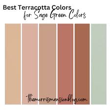 9 Sage Green Color Palettes 2023