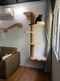 catification post cat trees the cat