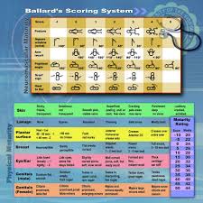 The Ballard Maturational Assessment Ballard Score Or