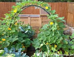 8 Diy Garden Arch Plans To Frame Your