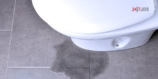 My Toilet Is Leaking Help And Advice