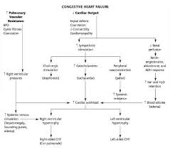 Flow Chart For Congestive Heart Failure Care Plan