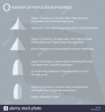Population And Demography Illustration Of 4 Types Of