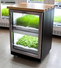 young urban farmers urban cultivator