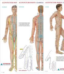 Acupuncture Points Chart Legs Best Picture Of Chart