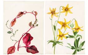 the 8 most famous flower artworks