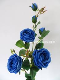 blue roses long stem florabunda