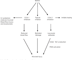 Figure 1 From An Overview Of History Pathogenesis And