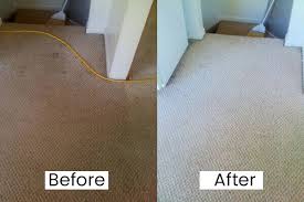 carpet cleaning vancouver wa xtra