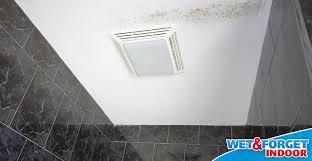 Bathroom Ceiling Mold And Mildew Life