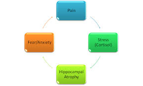 Stress Management Could Help Decrease Pain Healinginmotion Org