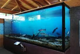 Kaca Apa Yang Cocok Untuk Aquarium