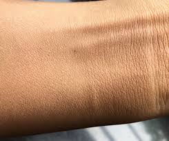 Kryolan Tv Paint Stick Foundation Review Shades Swatches