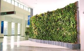Ce Center Hydroponic Living Plant Walls