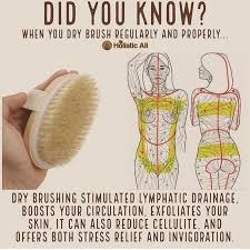 Do You Dry Brush In Your Body Your Lymphatic System Is The