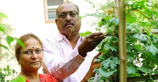 Hyderabad Couple Grow Organic Farm On