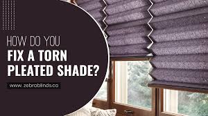 We did not find results for: How Do You Fix Torn Pleated Shades