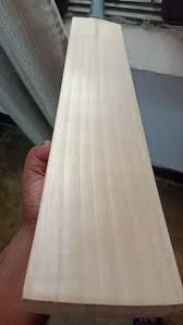 grade english willow cricket bat