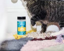 carpet refresher for cats