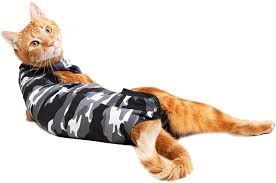 First, slide the dog's remaining leg through the leg hole on the corresponding side, pull the diaper waist band over the dog's head. Suitical Recovery Suit For Cats Xsmall Walmart Com Walmart Com