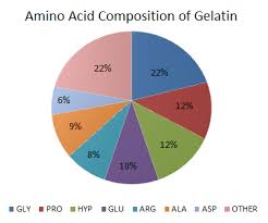 File Amino Acid Composition In Gelatin Chart Png Wikimedia