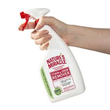 dog stain and odor remover