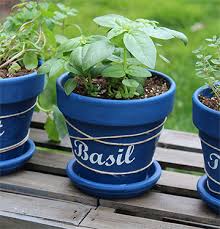 How To Make Diy Herb Pots The