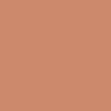 In very light washes, it makes a good, light flesh tone. Subdued Sienna Sw 9009 Orange Paint Color Sherwin Williams